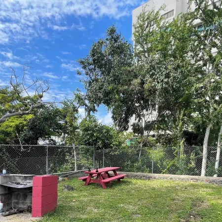 Urban oasis in heart of city-large yard