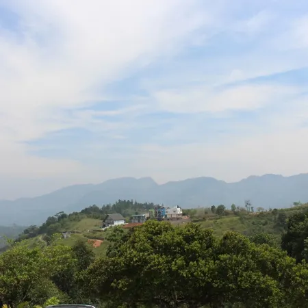 Star Bish Mount View