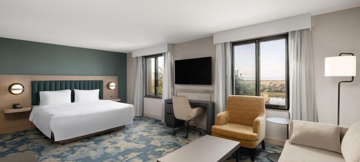 Hampton Inn & Suites Oakland Airport-Alameda Hotels in Alameda County