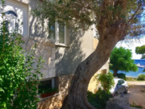 Apartments Suzana