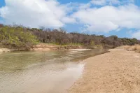 Beach + Brazos River Access! Family-friendly Haven - Homestays