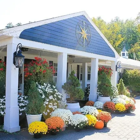 Scenic Vista Inn