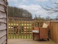 Beech Tree Cabin