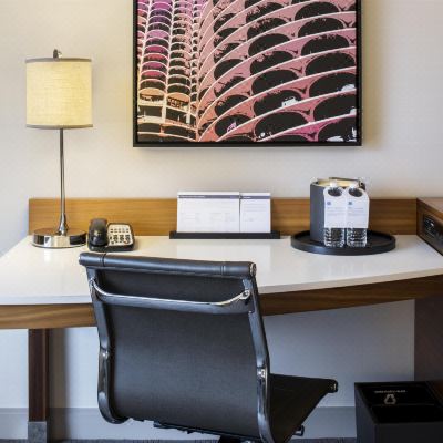 Accessible Queen and Double Room with Roll-in Shower Hyatt Regency McCormick Place Promo Code