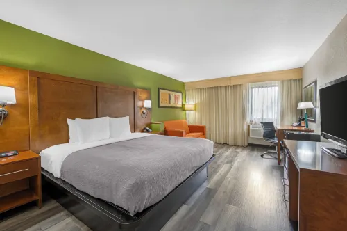Quality Inn & Suites - Wifi