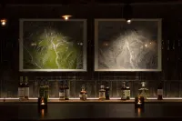 Fufu Hakone - bar