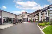 Best Western Plus Edmonton Airport Hotel - bar