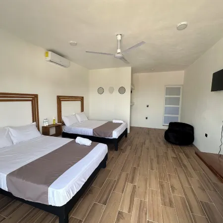 casa areka