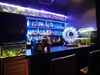 Aqua Pension Marine Villa - bar