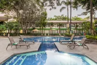 Holiday Inn GUADALAJARA EXPO by IHG - piscine