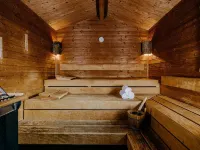 Fletcher Berghotel Astenkrone-Winterberg - Spa