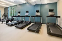 Embassy Suites by Hilton Nashville South Cool Springs - Gym