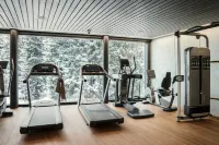 Valsana Hotel Arosa - Small Luxury Hotels of the World - ジム
