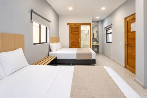 Stanza Hotel Sincelejo - Wifi