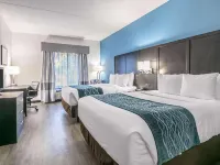 Comfort Inn University Hotels in Gainesville