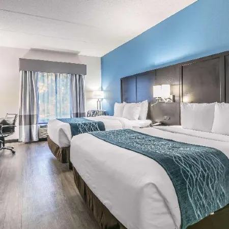 Comfort Inn University