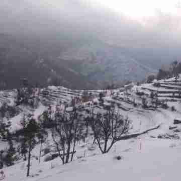 Viewtiful Homestay Others