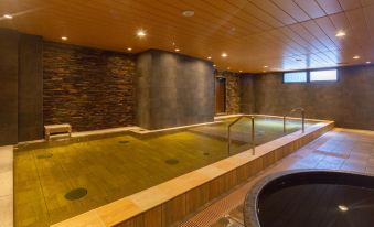 Hot Spring from Deep Water Osaka Hinode Hotel Nipponbashi