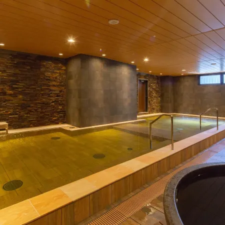 Hot spring OSAKA HINODE HOTEL NIPPONBASHI