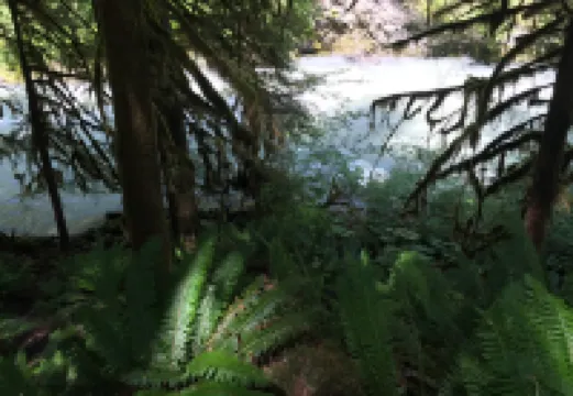 Mt Baker Lodging's Cabin #1 - with Wifi, Hot Tub, Pet Friendly