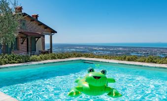 a green frog floatie is floating in a swimming pool with a house and ocean view in the background at Agave
