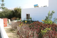 Flora's Red Studios