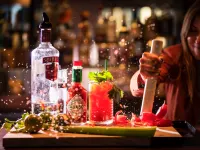 Novotel Canberra - bar