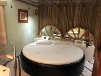 David Plaza Hotel Hotels in Osasco