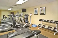 Holiday Inn Express & Suites BRADLEY AIRPORT by IHG - Gym