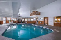 Quality Inn & Suites Belmont Route 151 - piscine