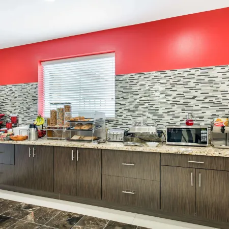 Econo Lodge Inn & Suites Houston Willowbrook