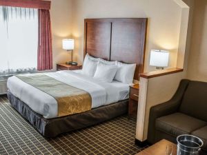 Comfort Suites Portland Southwest