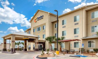 Comfort Inn & Suites Lakeside