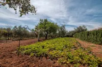 Relais Casina Miregia Hotéis em Sambuca di Sicilia