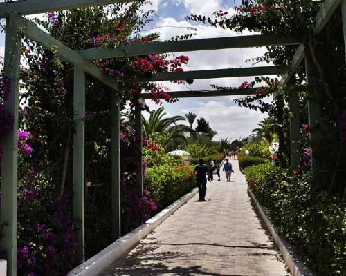 المرادي نادي سليمة الأماكن العامة Photos