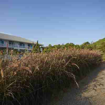 Santosha Health & Lifestyle Resort Hotel Exterior