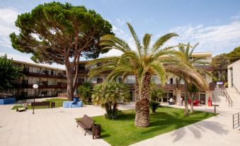 a courtyard with palm trees and benches , surrounded by buildings , under a clear blue sky at Aparthotel Comtat Sant Jordi