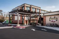 Holiday Inn 薩拉託加溫泉 - 停車場