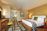 Embassy Suites by Hilton Houston Downtown