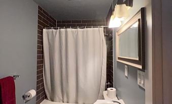 a bathroom with a toilet , sink , and shower curtain , as well as a red towel hanging on the wall at Hwy 17 Hotel