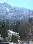 Evergreen Bed & Breakfast