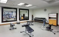 Hilton Garden Inn Omaha-Downtown/Old Market Area - Gym