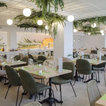 BQ Paguera Boutique Hotel - Adults Only