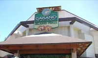 The Stopover Hostel - Mactan