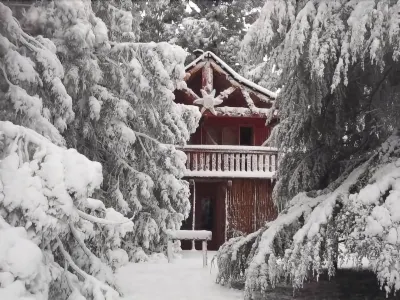 Sycamore Avenue Treehouses & Cottages Accommodation