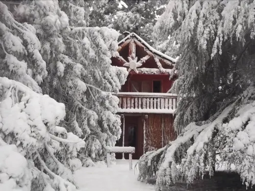 Sycamore Avenue Treehouses & Cottages Accommodation Hotels in Indlovu DC