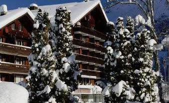 a snow - covered building with pine trees in front , creating a picturesque winter scene against a clear blue sky at Hotel Residence