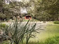 High Park Barn - Homestays