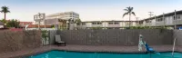 Hotel Xilo Glendale - Pool