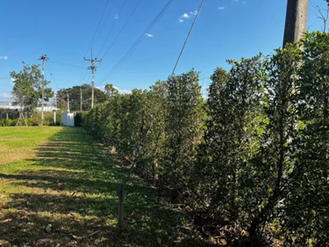 รูปภาพของวานิลลา เฮ้าส์